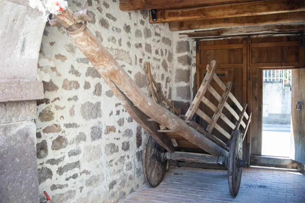 carro in legno a buoi